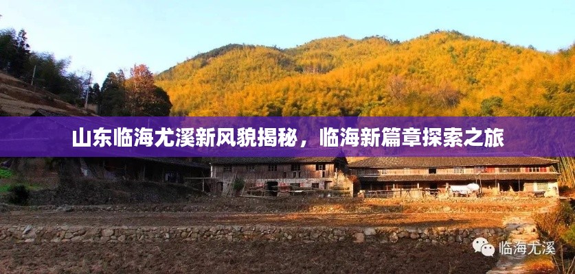 山東臨海尤溪新風貌揭秘，臨海新篇章探索之旅