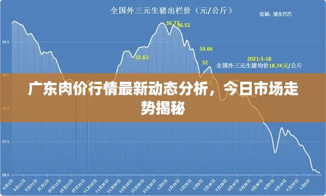 廣東肉價行情最新動態(tài)分析，今日市場走勢揭秘