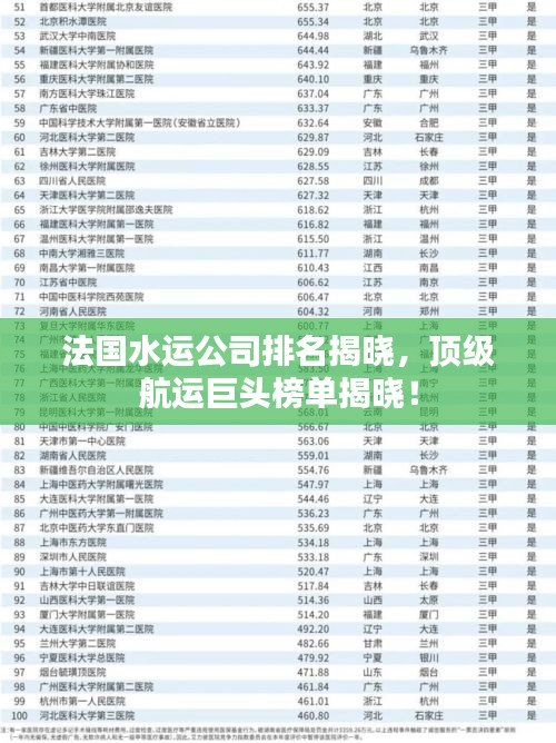 法國水運公司排名揭曉，頂級航運巨頭榜單揭曉！
