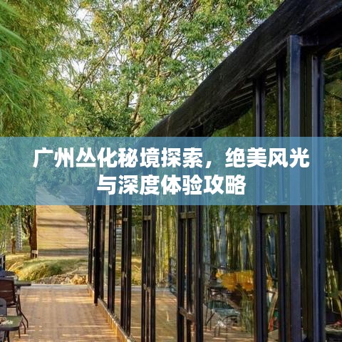 廣州叢化秘境探索，絕美風(fēng)光與深度體驗(yàn)攻略