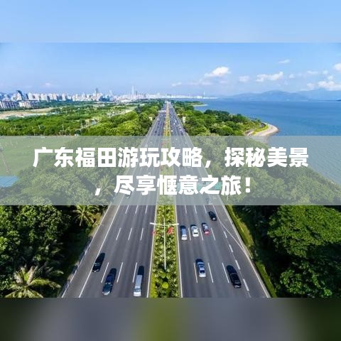 廣東福田游玩攻略，探秘美景，盡享愜意之旅！