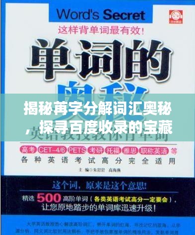 揭秘苒字分解詞匯奧秘，探尋百度收錄的寶藏標題