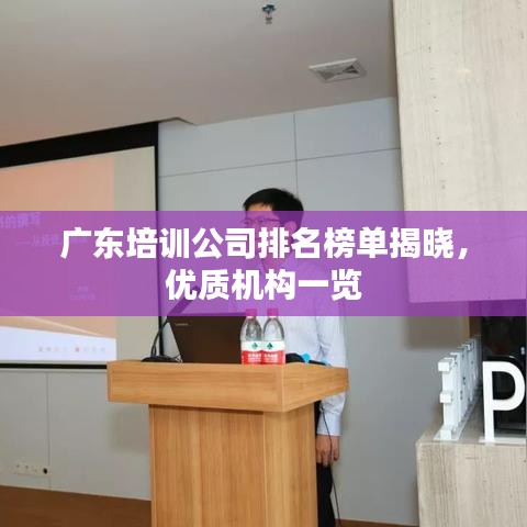 廣東培訓(xùn)公司排名榜單揭曉，優(yōu)質(zhì)機(jī)構(gòu)一覽