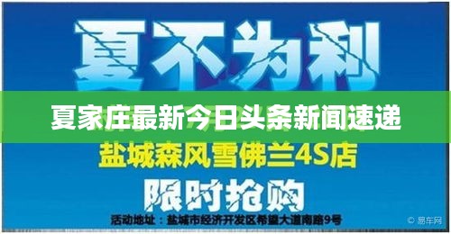 夏家莊最新今日頭條新聞速遞