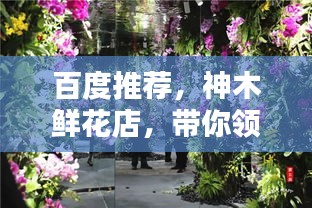 百度推薦，神木鮮花店，帶你領略鮮花世界的魅力