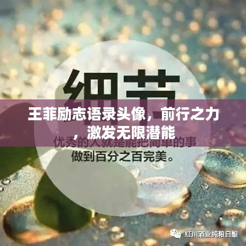 王菲勵志語錄頭像，前行之力，激發(fā)無限潛能