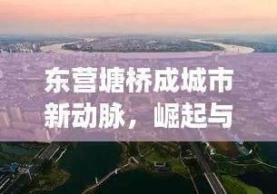 東營(yíng)塘橋成城市新動(dòng)脈，崛起與未來(lái)展望