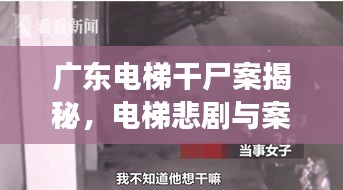 廣東電梯干尸案揭秘，電梯悲劇與案件最新進展，引發(fā)社會震驚！