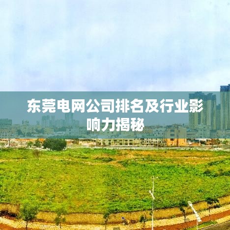 東莞電網(wǎng)公司排名及行業(yè)影響力揭秘