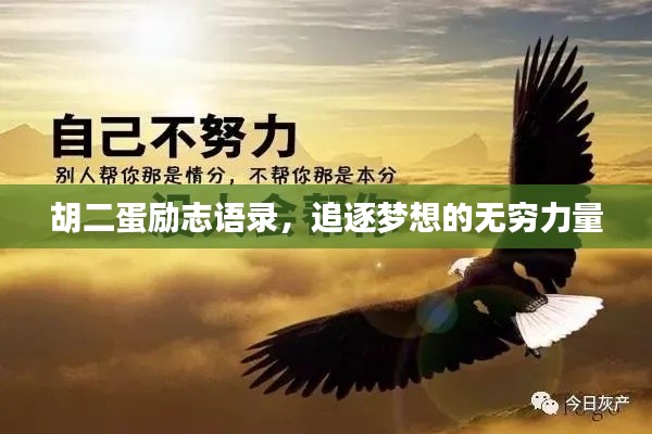 胡二蛋勵(lì)志語(yǔ)錄，追逐夢(mèng)想的無(wú)窮力量