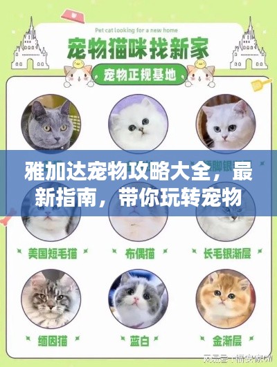 心慌意亂 第2頁