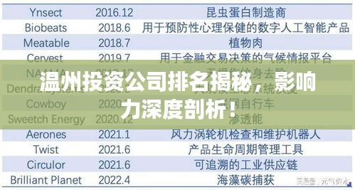 溫州投資公司排名揭秘，影響力深度剖析！
