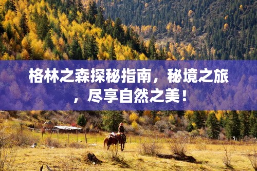 格林之森探秘指南，秘境之旅，盡享自然之美！