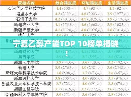 寧夏乙醇產(chǎn)能TOP 10榜單揭曉！