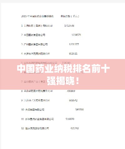 中國藥業(yè)納稅排名前十強揭曉！