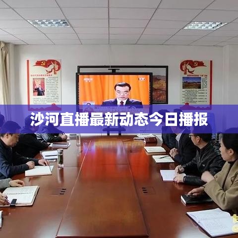 沙河直播最新動態(tài)今日播報