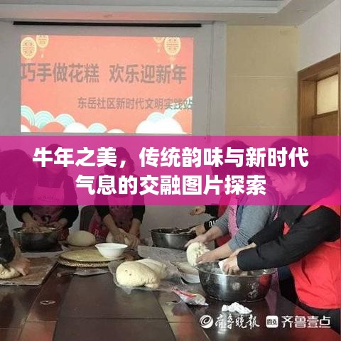 牛年之美，傳統(tǒng)韻味與新時代氣息的交融圖片探索