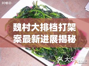 魏村大排檔打架案最新進(jìn)展揭秘，案件動(dòng)態(tài)令人矚目
