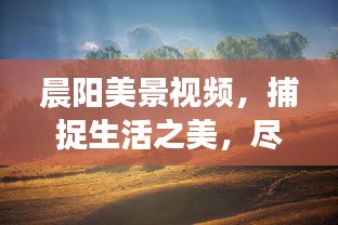 晨陽(yáng)美景視頻，捕捉生活之美，盡享最新風(fēng)景畫(huà)卷