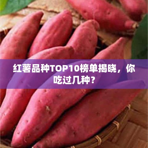 普度眾生 第2頁