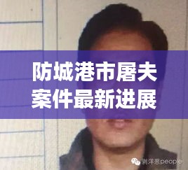 防城港市屠夫案件最新進展曝光，揭秘案件進展細節(jié)