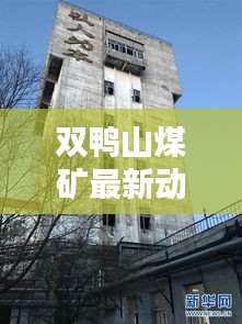 雙鴨山煤礦最新動(dòng)態(tài)，行業(yè)頭條一網(wǎng)打盡