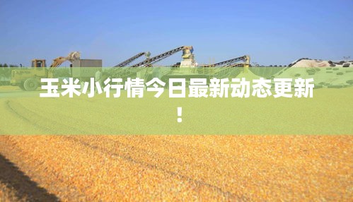 玉米小行情今日最新動(dòng)態(tài)更新！