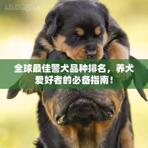 學(xué)貫中西 第2頁