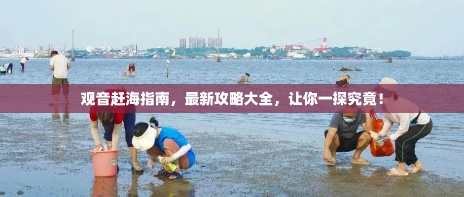 觀音趕海指南，最新攻略大全，讓你一探究竟！