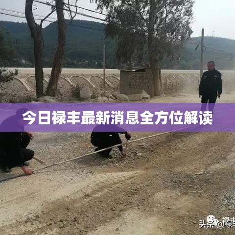 今日祿豐最新消息全方位解讀