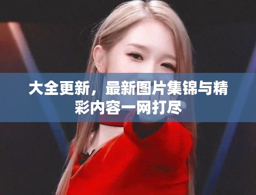 大全更新，最新圖片集錦與精彩內(nèi)容一網(wǎng)打盡