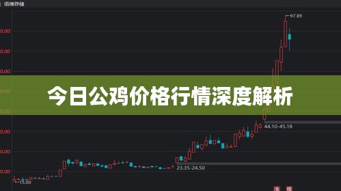今日公雞價(jià)格行情深度解析