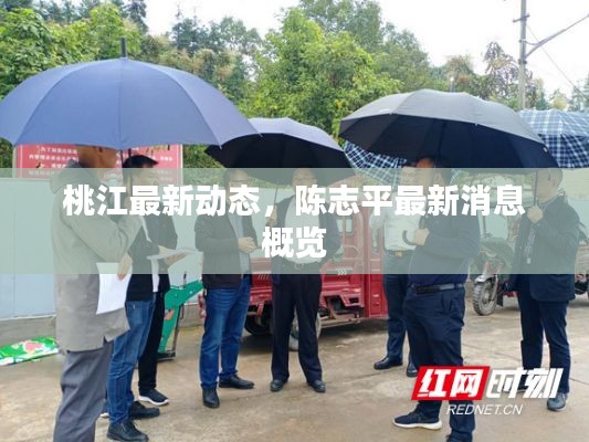 桃江最新動(dòng)態(tài)，陳志平最新消息概覽