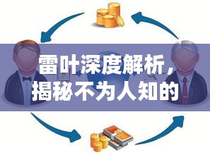 雷葉深度解析，揭秘不為人知的秘密！