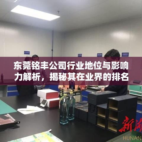 東莞銘豐公司行業(yè)地位與影響力解析，揭秘其在業(yè)界的排名與影響力