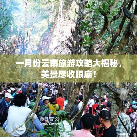 一月份云南旅游攻略大揭秘，美景盡收眼底！