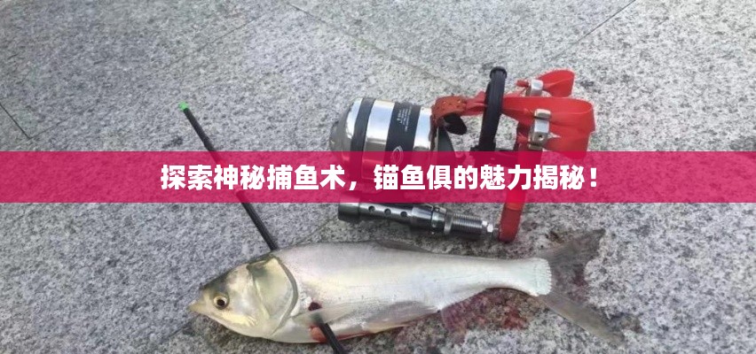 探索神秘捕魚(yú)術(shù)，錨魚(yú)俱的魅力揭秘！