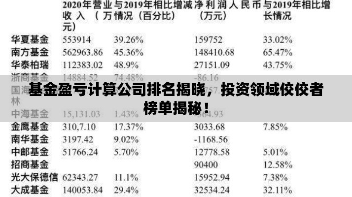 基金盈虧計(jì)算公司排名揭曉，投資領(lǐng)域佼佼者榜單揭秘！