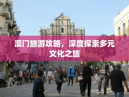 澳門(mén)旅游攻略，深度探索多元文化之旅