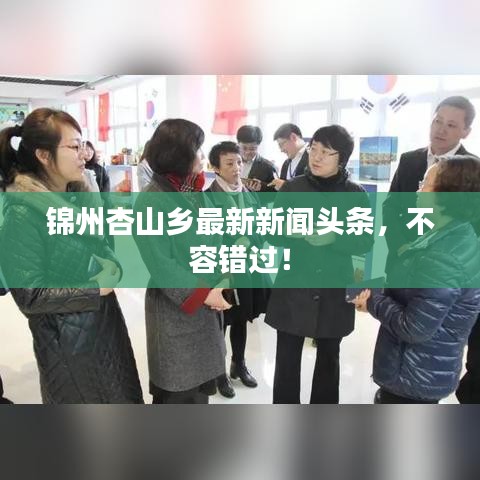 錦州杏山鄉(xiāng)最新新聞頭條，不容錯過！