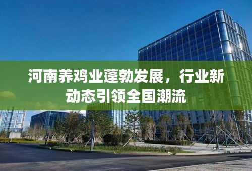 河南養(yǎng)雞業(yè)蓬勃發(fā)展，行業(yè)新動(dòng)態(tài)引領(lǐng)全國(guó)潮流