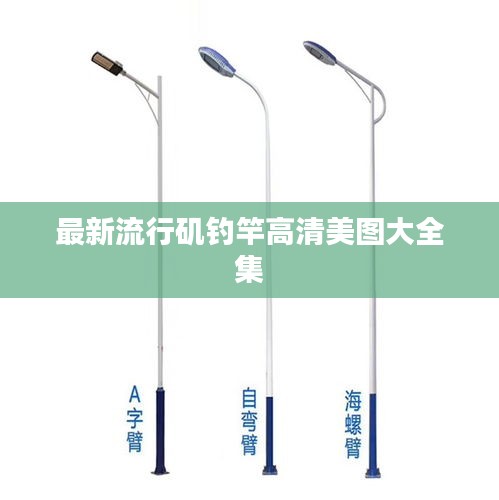 最新流行磯釣竿高清美圖大全集