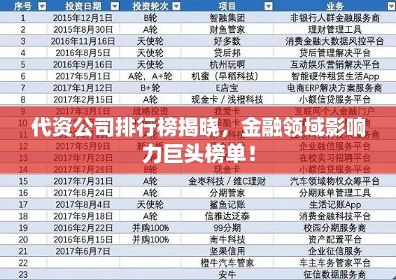 代資公司排行榜揭曉，金融領(lǐng)域影響力巨頭榜單！