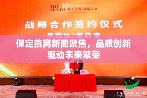保定燕窩新聞聚焦，品質(zhì)創(chuàng)新驅(qū)動未來繁榮