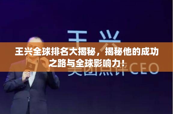 王興全球排名大揭秘，揭秘他的成功之路與全球影響力！