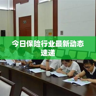 今日保險行業(yè)最新動態(tài)速遞