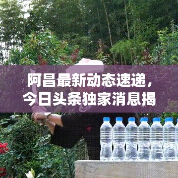 阿昌最新動(dòng)態(tài)速遞，今日頭條獨(dú)家消息揭秘