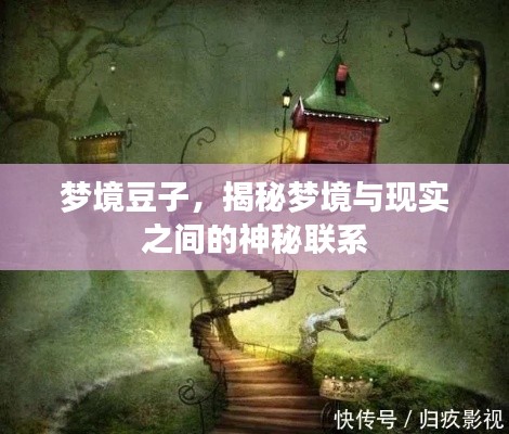 夢境豆子，揭秘夢境與現(xiàn)實之間的神秘聯(lián)系