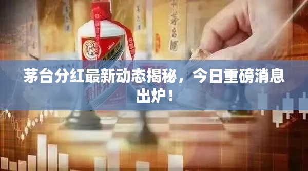 茅臺分紅最新動態(tài)揭秘，今日重磅消息出爐！