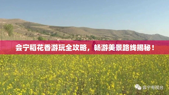 會寧稻花香游玩全攻略，暢游美景路線揭秘！